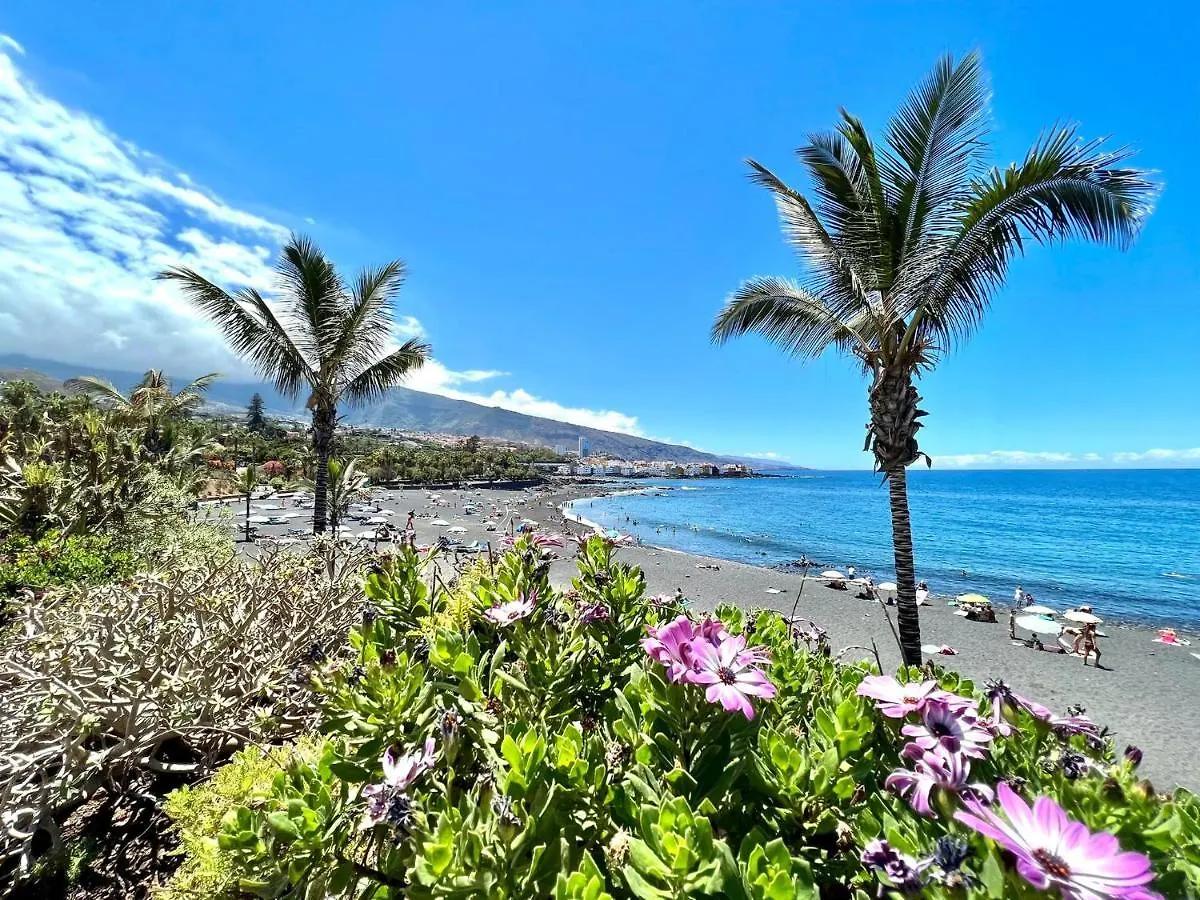 Estudio Pp Con Wifi,Piscina En Azotea, Sin Balcon Apartment Puerto de la Cruz  Spain